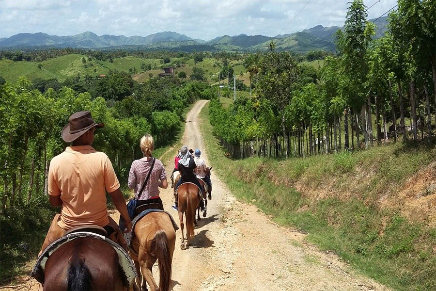 4-Hour Mountain Horseback Rides - Discover Nature's Majesty